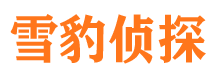 武陵源外遇调查取证